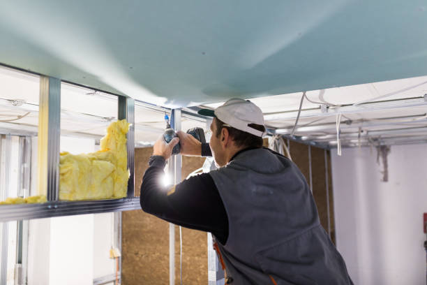 Best Insulation Repair Services  in Dunnigan, CA