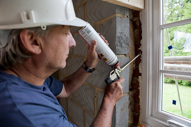 Best Wall Insulation Contractor  in Dunnigan, CA
